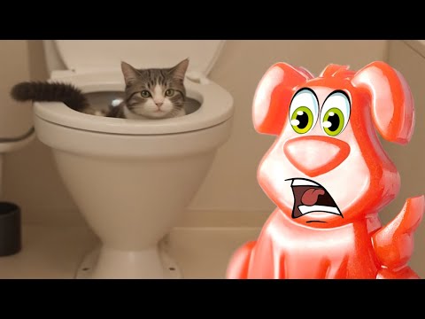 Видео: Котик чуть не утонул в унитазе в японском кафе. Приключения желейного Стасика.