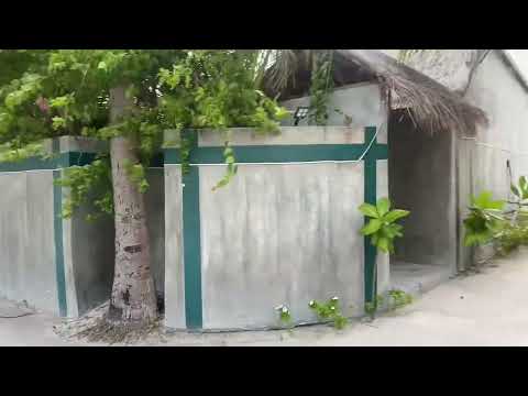Видео: Обзор Tropical Tree Fehendhoo, территория, номера, август 2025#мальдивы#tropicaltree#2025#август