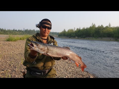 Видео: Наконец я поймал "Царя рек"! Якутия Yakutia