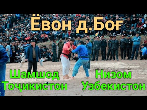 Видео: Шамшод ва Низом