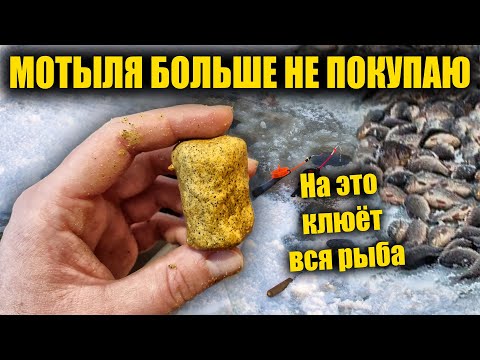 Видео: На эту насадку клюёт лучше чем на мотыля червя и опарыша. Супер рыболовная насадка.