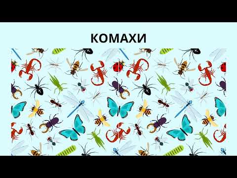 Видео: Психологічна хвилинка. Дидактична гра "Назви одним словом" 3