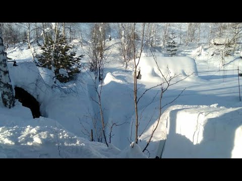 Видео: Пасека на связи, завалило снегом.