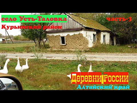 Видео: Усть -Таловка. Курьинский район.часть 3.