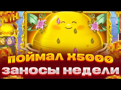 Видео: ПРОШЕЛ ДО КОНЦА ROYAL POTATO 2? ПОЙМАЛ МАКСВИН В НОВОМ СЛОТЕ ЗАНОСЫ НЕДЕЛИ