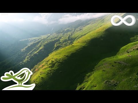 Видео: The Hidden Valley: Расслабляющая Эмбиент-музыка для Снятия Стресса, Сна и Медитации