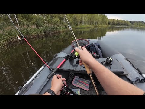 Видео: Рыбалка на красивом озере, проверка моей новой джерковой палки