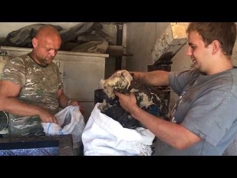 Видео: Гранулированная Овечья Шерсть Как Удобрения Твердая Гранула Гранулятор Granulated Sheep Wool As.....