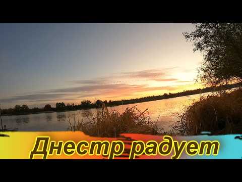 Видео: Не скучная рыбалка 22 -- 23 октября / Маяки / Днестр