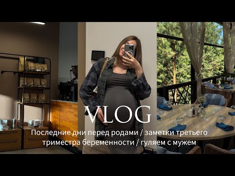 Видео: ЗАМЕТКИ 3 ТРИМЕСТРА БЕРЕМЕННОСТИ | ПОСЛЕДНИЕ ДНИ ПЕРЕД РОДАМИ | ГУЛЯЕМ С МУЖЕМ | РАСПАКОВКА ЗЯ
