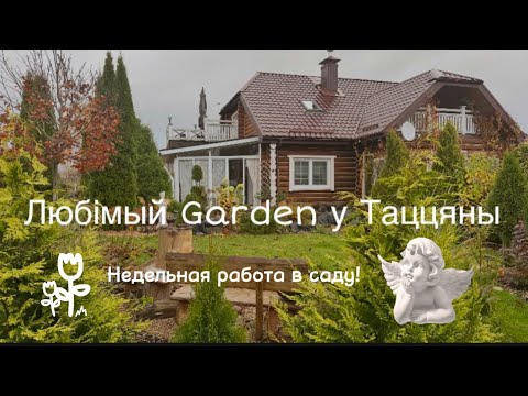 Видео: Работаю в саду осенью 28 октября #любимыйсадутатьяны #ландшафтныйдизайн #дача #садоводничество