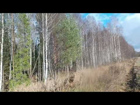 Видео: 24 октября 2025 г.