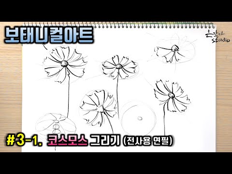 Видео: [Цветочный рисунок / Ботаническое искусство] № 3-1. Карандашный рисунок "Космос". (Урок рисования)