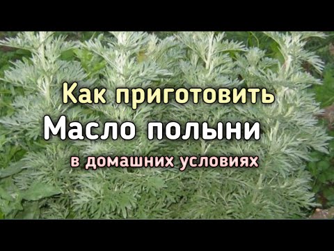 Видео: Масло полыни. Как сделать масло полыни в домашних условиях.