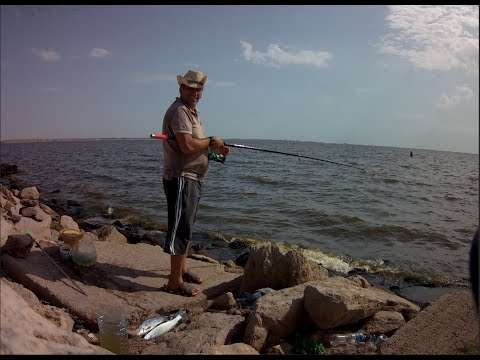 Видео: #Каспийская #кефаль #вобла #fishing