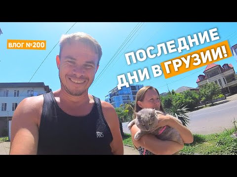 Видео: [200] Последние дни в Грузии и немного о неадекватах (Грузия)