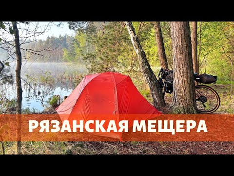 Видео: Велосипедный ПВД по Рязанской Мещере