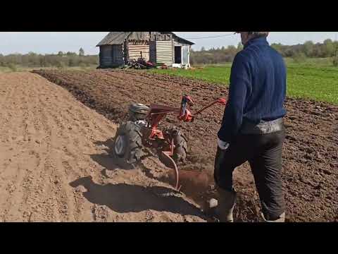 Видео: Мотоблок МТЗ Беларус пашет сам, работа с плугом, вспашка земли! 30.04.2023