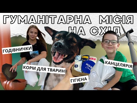 Видео: Донецька область: корм для тварин, годівнички. КАНЦЕЛЯРІЯ для дітей НА СХОДІ.