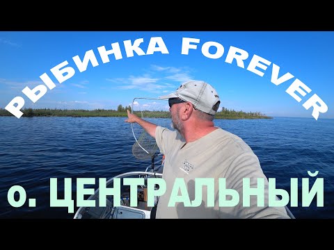 Видео: Экскурсия на остров Центральный. Вся рыба на Рыбинке под Центральным. Рыбинка FOREVER.
