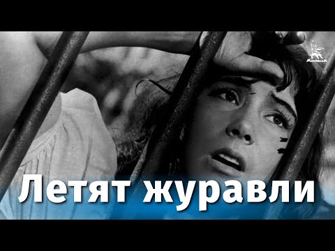 Видео: Летят журавли (FullHD, драма, реж. Михаил Калатозов, 1957 г.)