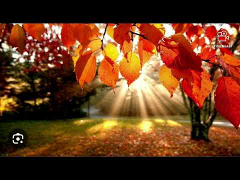 Видео: Хайрын намар .2023.10.05
