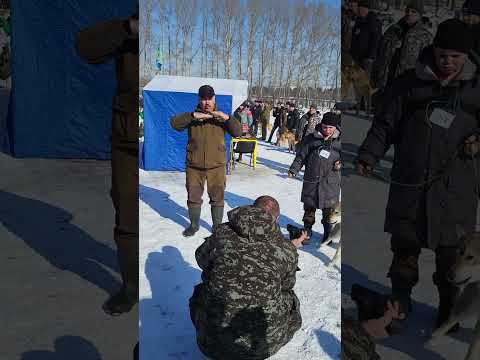 Видео: Выставка ЗСЛ Новокузнецк 11.03.2023