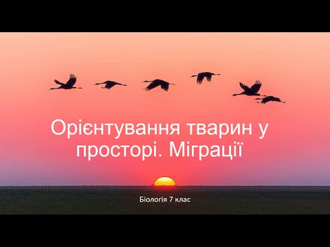 Видео: Біологія. Тварини. Орієнтування тварин. Міграції