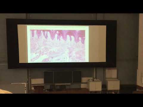 Видео: Гистология. Консультация ко второму коллоквиуму