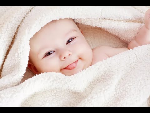 Видео: ЭКО по квоте