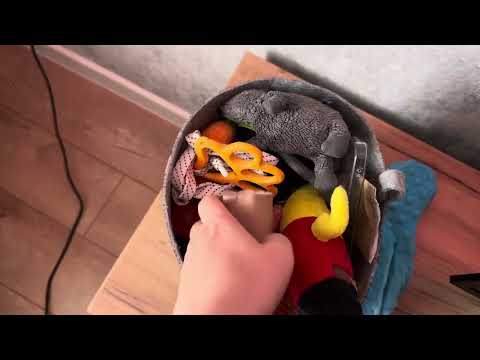 Видео: АСМР шуршание и стучу по всему || asmr random tapping 