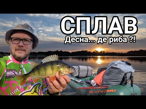 Видео: Сплав по Десні ! 28км за дві доби ! Трофей втік !