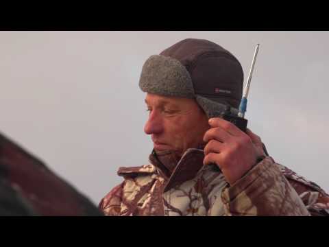 Видео: Охотничьи истории. Сезон 3. Зимняя охота на лося