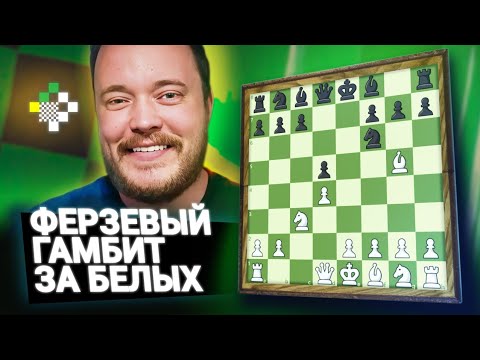 Видео: Дебют за час. Отказанный ферзевый гамбит, основная линия