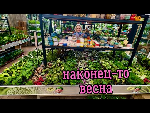 Видео: ВЕСНА В САДОВОМ ЦЕНТРЕ "LEURS" В НИДЕРЛАНДАХ