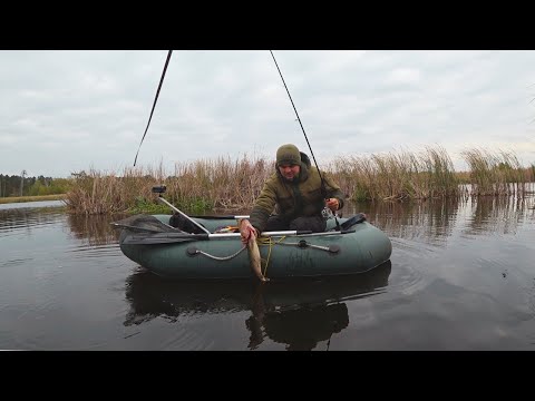 Видео: ЩУКИ КРАДУТЬ СПІНІНГ!🎣ЛОВЛЯ ЩУКИ на ТВІЧИНГ І ДЖИГ! ОСІННЯ РИБАЛКА на СПІНІНГ!