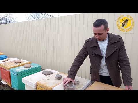 Видео: 6 рамочный улей ЭППС, Пеноулик. Быстрое расширение пасеки.