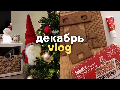 Видео: Декабрь'24 | Мой первый Новый Год в Финляндии