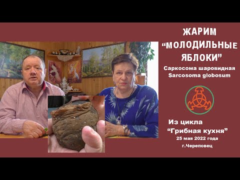 Видео: Жарим "молодильные яблоки". Саркосома шаровидная -  Sarcosoma globosum. Грибная кухня.