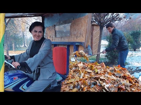 Видео: Дар рузи Барфи Раҳрубак Раиса шарманда кард