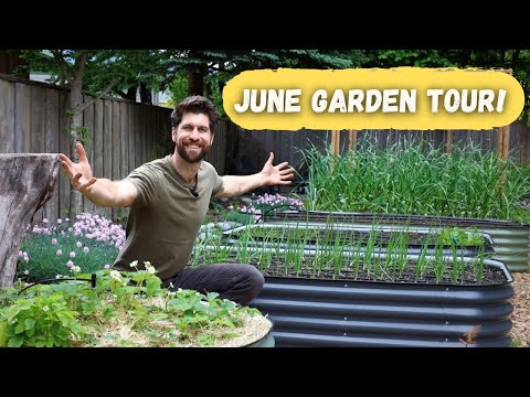 Видео: Пойдем со мной на расслабляющую экскурсию по саду в июне