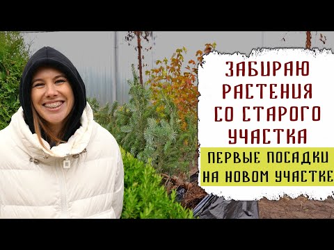 Видео: Какие растения я забираю со старого участка  | Первые посадки на новом участке