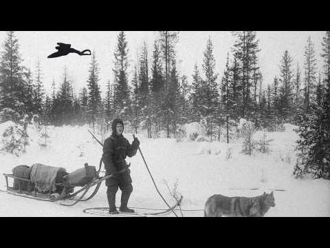 Видео: В ТАЙГЕ ЗАМЕЧЕНА ЛЕТАЮЩАЯ ЖЕНЩИНА