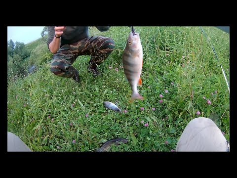 Видео: Столько рыбы в одной яме!!!  р.  Ора,  Новосибирский р-он.  Ловля щуки, окуня на спиннинг.
