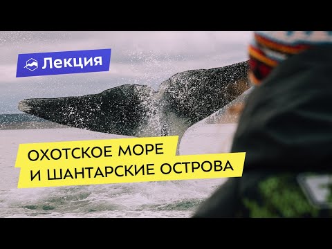 Видео: Охотское море и Шантарские острова