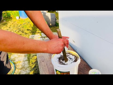 Видео: Колеровка масловоска Анта в белый цвет