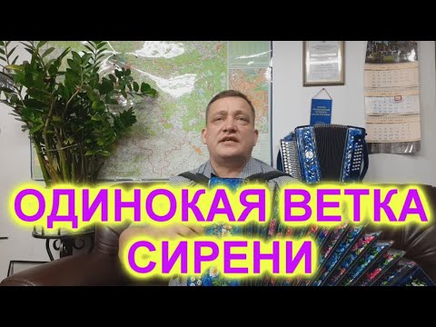 Видео: ПРИЯТНОГО ПРОСЛУШИВАНИЯ! ОДИНОКАЯ ВЕТКА СИРЕНИ!