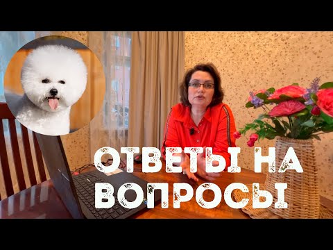 Видео: Бишон фризе, ответы на вопросы по покупке, продаже, воспитанию, оформлению документов на щенков.