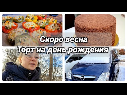 Видео: Мой будний день/Вкусный ужин🫑/ Запах весны🤩/Торт на день рождения 🍰