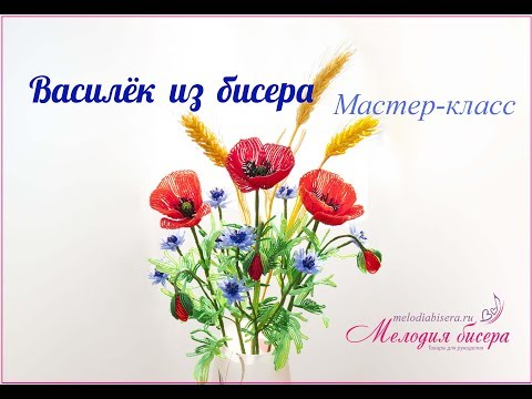 Видео: ВАСИЛЬКИ из БИСЕРА - мастер класс. Полевые цветы из бисера - часть 2/4